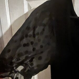 Black Sheer Polka Dot Sleeve Top